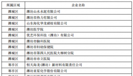 山东潍坊公示了2017年重点排污企业名单