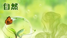 干货分享：儿童房间的衣柜选择指南