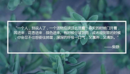 穹顶之下是雾霾，屋顶之下是甲醛！如何拯救呼吸？