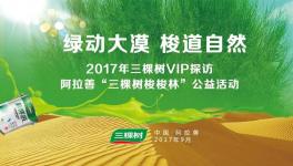 绿动大漠 三棵树百万梭林索道自然