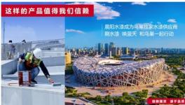 晨阳水漆引领行业发展