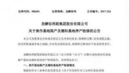 钛白粉龙头龙蟒佰利联限产四个月！ 