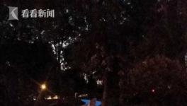 自带导航系统 沪上首条荧光绿道在闵行落成