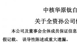 这家钛白粉企业停产停业获政府补偿8150万元
