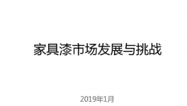 家具漆市场发展与挑战——陈冰董事长发言