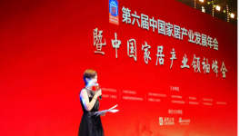 汇龙涂料荣膺“大雁奖”——2018中国家居产业百强品牌