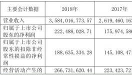 三棵树2018年纯赚2.22亿!装饰施工暴增162.71%!