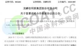 5年斥资140亿！龙蟒佰利将打造完整产业链！