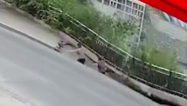 吓人！马路塌陷！两人瞬间消失（视频）