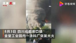 黑烟冲天！又一涂料企业突发大火！