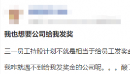 大手笔！这家巨头企业推2.7亿元员工持股计划！​