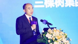 实至名归！三棵树涂料再获两项荣誉！