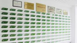 再获殊荣！三棵树携8000支产品推出“六位一体”一站式系统