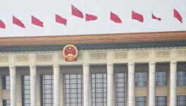 全国人大代表：含铅涂料需限制！