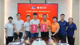 又一种原材料被替代!嘉宝莉牵头制定这项标准!