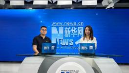 8小时“马上住”新家？三棵树的底气来源于哪里？