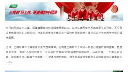 千年荔韵启新章！三棵树第二十届荔枝文化节圆满落幕        