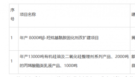投资2900万！替代TGIC!年产8000吨HAA固化剂项目公示！