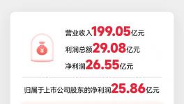 北新建材：主营业务持续巩固 “两翼”业务逆势