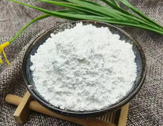 长兴鸿玥推广核心粉体产品，赋能产业升级