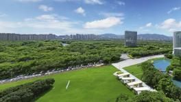 解锁“中国漆”向新力——三棵树的产业升级之路