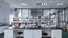 生兴行化学：技术创新破局新国标，全球布局启新程