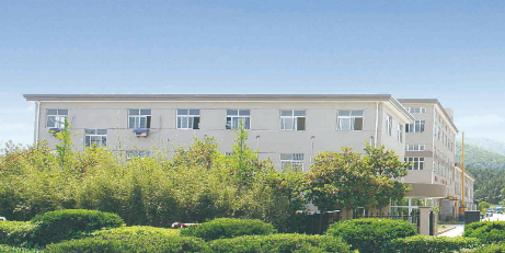 金质丽四大关键成果彰显高质量发展底蕴