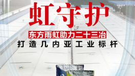 护航海外工程！东方雨虹防火涂料守护几内亚项目安全