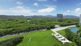 解锁“中国漆”向新力——三棵树的产业升级之路