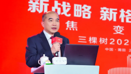 三棵树董事长兼总裁洪杰：企业要回应年轻消费者的期待