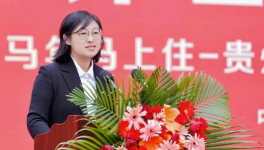 三棵树贵州二十五店同步开业 一站式家居焕新服务扎根黔地