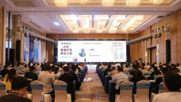 大宝漆斩获2026墙面高定仿石&艺术涂料年度价值品牌大奖