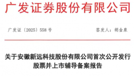 1人死亡！环保处罚51万！安徽新远要IPO！