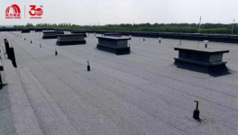 正式攻关了！东方雨虹“揭榜挂帅”三项目守护“好房子”