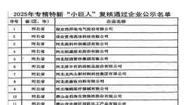 微观公司顺利通过“国家级专精特新‘小巨人’企业”复审