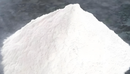 喜报！内蒙古国城钛业与泛华检测开展深度交流！