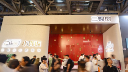 洗牌加速！三棵树小森板凭 “好漆好板好空间”杀出重围