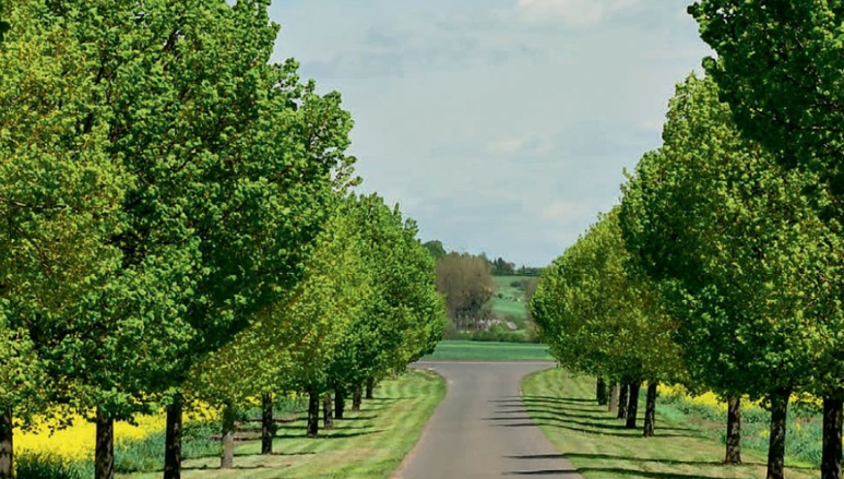 高层人事变动!巴斯夫缩减在中国的投资!