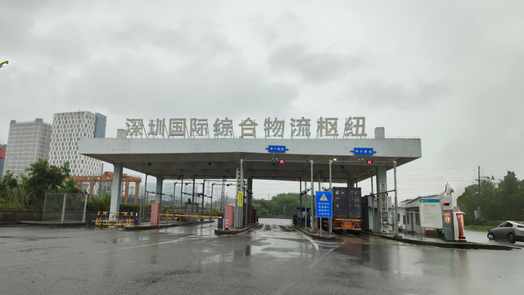 绿色守护!三棵树民族涂料龙头为钢铁脊梁保驾护航!