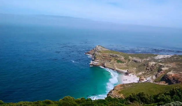 600名员工对巴斯夫出售涂料业务表示担忧！