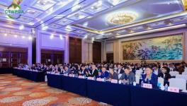 展辰新材民族涂料领军者多项大奖彰显技术实力！