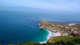 600名员工对巴斯夫出售涂料业务表示担忧！