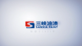 重庆三峡油漆股份有限公司：渝三峡A完成董事会换届