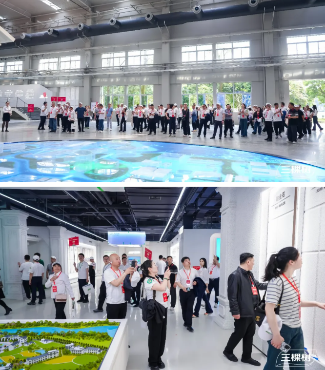 开新局·启新程·谋共赢三棵树2026年全国经销商年会圆满举行