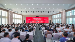 三棵树“马上住”位列中国涂料焕新品牌市场规模第一