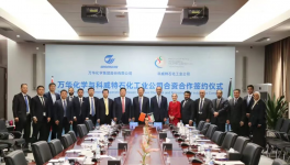 大手笔！万华化学化工厂获45.6亿元投资！