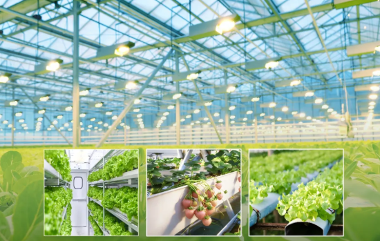 睿智水培卷材涂料：零甲醛零VOC，饮用水级环保涂层