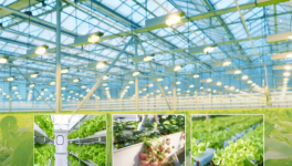 睿智水培卷材涂料：零甲醛零VOC，饮用水级环保涂层