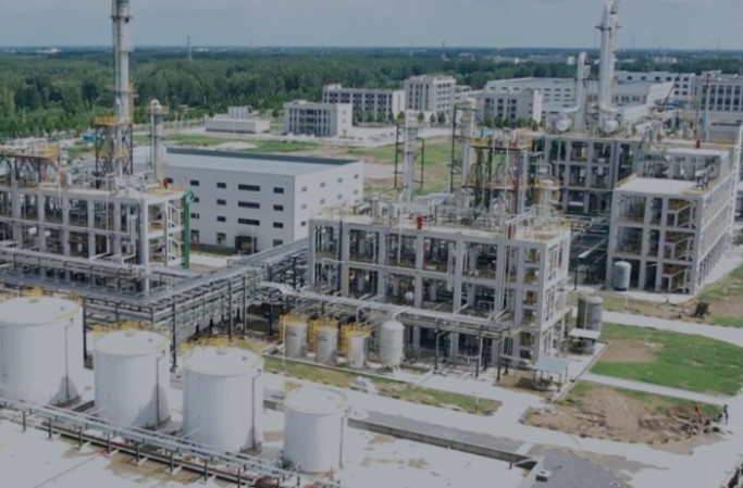 从顺德到濮阳：巴德富连续17年全国第一 2026年目标增长超40%