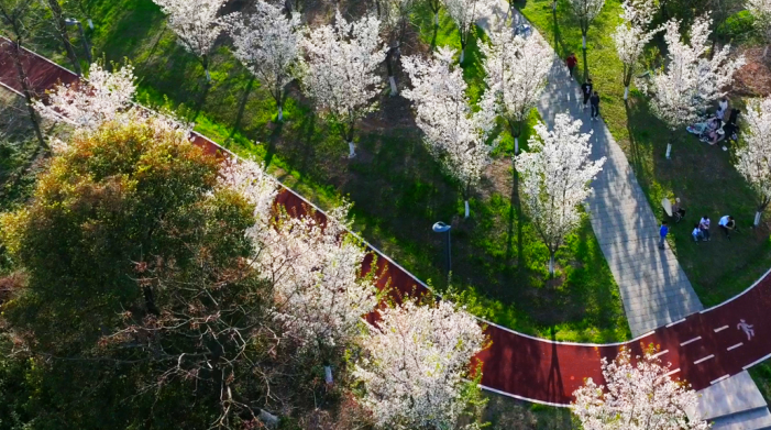 宇星颜料∣以匠心色彩，点缀宜兴城市公园之美